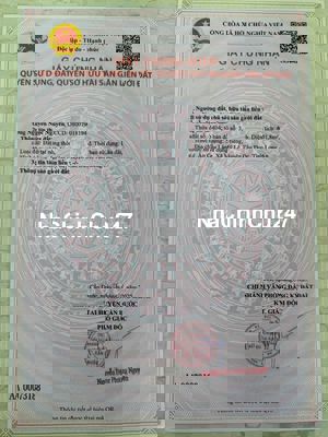 CHÍNH CHỦ kẹt tiền bán nền thổ 400m2, Cần Đước, Long An