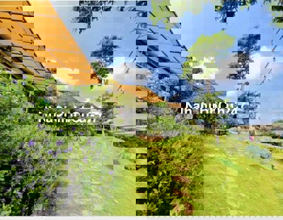 Chủ nhà cần CẮT LỖ lô đất GIÁ 320 TRIỆU!!!