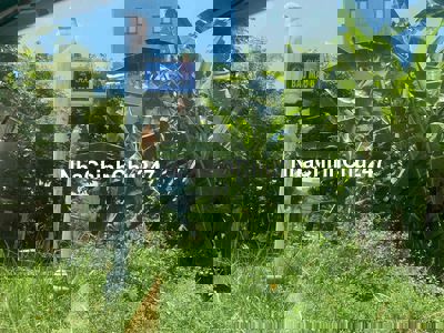 Đất chính chủ 107.5m2 đường Bàu Mạc 6, Q.Liên Chiểu, TP Đà Nẵng