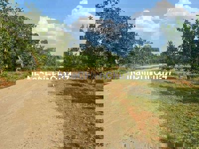 CHỦ NGỘT CẦN BÁN GẤP