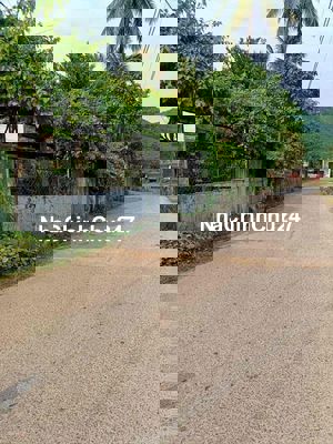 chủ kẹt tiền cần bán lô đất hoà sơn. giá rẻ