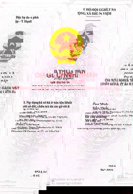 chính chủ cần bán nhà mặt tiền nội bộ TTN2 4x9m