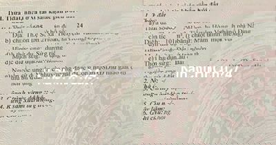 [GẤP] ĐẤT CHÍNH CHỦ - ĐÃ CÓ SỔ ĐỎ - NỞ HẬU - ĐƯỜNG NHỰA