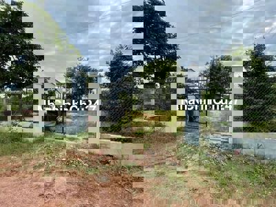 Chủ cần bán nhanh vườn sầu riêng 5 năm