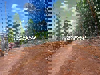 Chính chủ cần bán đất chưa qua đầu tư cách DT753 chỉ 500m