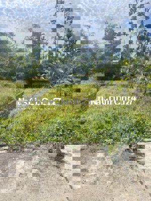 Chính chủ cần bán: 120,2 m2 đất Hoà tiến, Hoà Vang, Đà nẵng