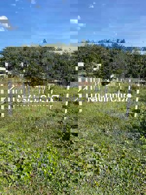 Chính Chủ Bán LÔ ĐẤT 5*25 SHR Đường Bà Thiên