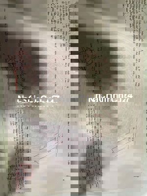 💥Chính chủ bán lô đất đẹp thôn Giáng Nam 2,xã Hòa Phước,huyện Hòa Vang