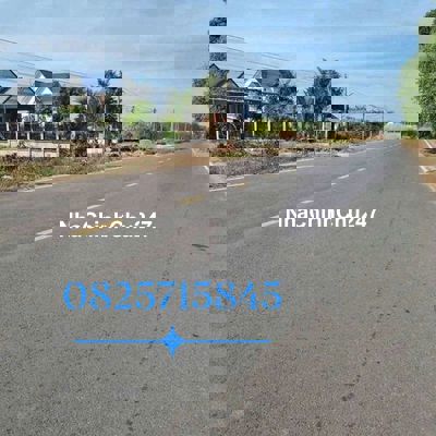 CHỦ CẦN BÁN GẤP TRONG TUẦN