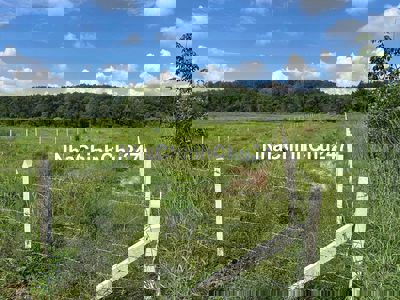 Chính chủ bán nhanh sào đất cạnh suối sau lưng trường tiểu học AnLinh