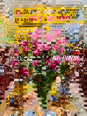 chính chủ cần tiền bán gấp lô đất ngang 5 Phường TNP B