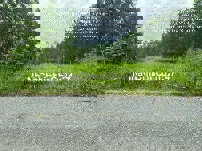 CHÍNH CHỦ CẦN BÁN GẤP ĐẤT BÀU CÁT, LONG THÀNH TỈNH ĐỒNG NAI DT 239,7M2