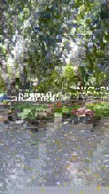 Bán nhà Khu tên lửa, 5x20m, 3,5 tấm + hầm view công viên, 14tỷ giá tốt