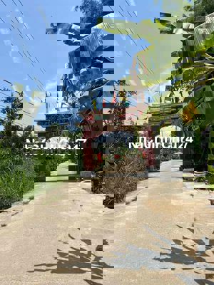 💥Bán Đất dg Bê Tông 3M Thôn Phú Đông,  Điện Bàn