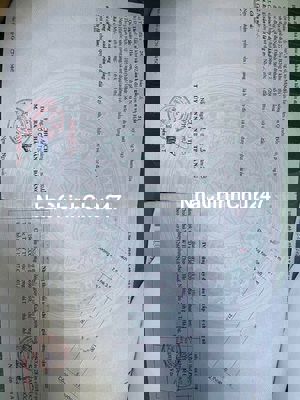 HÓI KIỂNG 33 , NAM HÒA XUÂN KHÔNG TRỤ CỐNG GIÁ RẺ NHẤT KHU VỰC