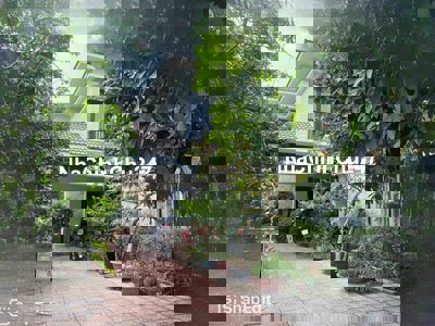 🇻🇳BIỆT THỰ SÂN VƯỜN ĐƯỜNG TRƯỜNG CHINH