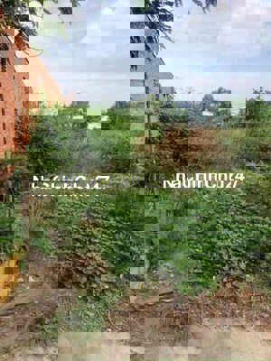 CHÍNH CHỦ CẦN BÁN GẤP ĐẤT ĐỒNG NAI GIÁ NET 1TỶ5