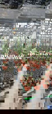 🏠Tân Bình - Bán nhà chính chủ 5 tầng 60m2 vuông vức  - nhỉnh 5 tỷ