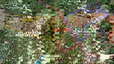 Chính chủ bán nhanh 5518m2 đất tại Xuân Trường, giá 4.5 tỷ