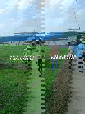 Đất Chính chủ sổ sẵn Công chứng liền tay