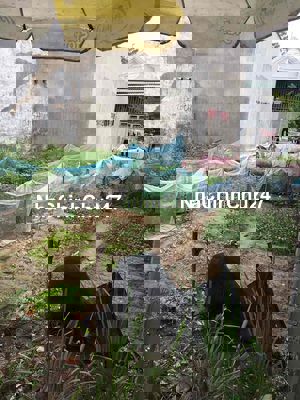 về quê nên bán miếng đất chính chủ