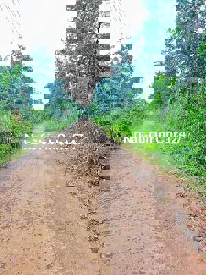 Đất Mặt tiền đường nhựa Thôn 6 - Thông Y Moal