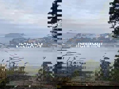 Bán 1800m Đất + Nhà đang kinh doanh homestay có view săn mây Phường 4