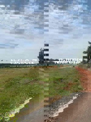 Đất cách nhựa 10m , Định An sót lại lô siêu rẻ