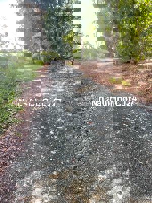 đất nền 5x50 50m thổ cư nằm ngay tàu ô ngân