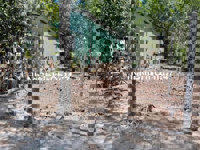 Bán đất thổ cư mặt tiền hẻm 42 diện tích 5,5m x 35m giá 2,3 tỷ