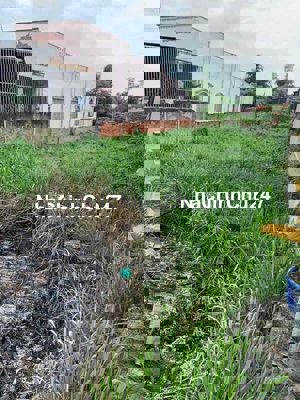 BÁN LÔ ĐẤT THỔ CƯ 500M2 - MẶT TIỀN ĐƯỜNG NGUYỄN KIM CƯƠNG, CỦ CHI