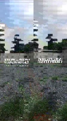 Đất 6,2 x 36 Sổ Hồng Riêng 222m Thổ Cư