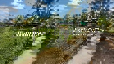 Bán đất Hoà Định, Tiền Giang Dt 1125m² 300m thổ cư