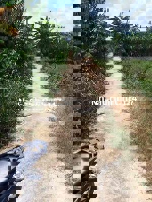 kẹt tiền bán gấp lô đất full thổ cư