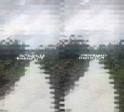 Đất Nền thổ cư đường oto Phường Tân Hội cách cầu nguyễn văn voi 300m