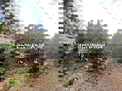 Bán đất thổ cư 100m2