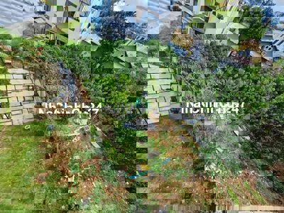 bán đất hoàng hoa thám view rừng thông vĩnh viễn