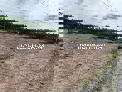 Bấn đất chính chủ