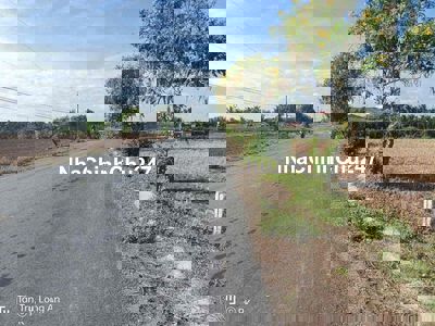 Đất thổ mặt tiền nhựa Cao Thị Mai - Đất đẹp giá tốt