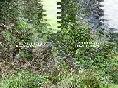 Cần bán lô đất thổ cư ở Đắk Lăk