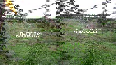 BÁN ĐẤT NỀN THỔ CƯ GIÁ MỀM CHO AI CẦN