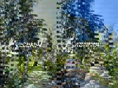 Đất Thổ cư 372.3m²(7.5×49.5)m,mặt tiền 12m,kh.dân cư ấp3 Tân Thành