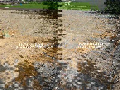 BÁN ĐẤT MT DÂN CƯ MỸ THẠNH, THỦ THỪA, LONG AN - 2 TỶ 1177m² - Full