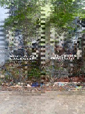 ĐẤT THỔ CƯ đường THẠNH XUÂN 52, phường THANH XUÂN Q12 ,dt87m2 (7mx13m)