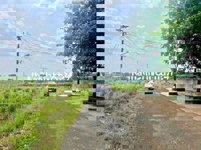 BÁN GẤP ĐẤT THỔ CƯ ĐƯỜNG NHỰA 19M NGAY UBND TÂN HƯNG,ĐỒNG PHÚ GIÁ195TR