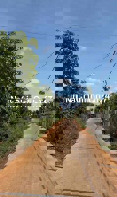 Bán mảnh vườn 5 sào full thổ cư full cây trồng