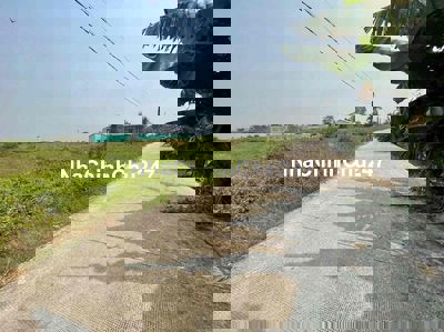 Bán 4 lô thổ cư 5x36 m đường Đan OTÔ 4 m  cách chợ 400 m dân cư đông