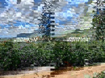 Đất nghỉ dưỡng gần Thác 7 tầng Đông Thanh