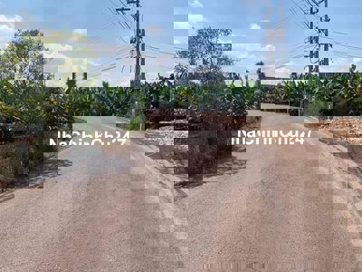 Đất sổ riêng thổ cư giá rẻ Trảng Bom, Đồng Nai