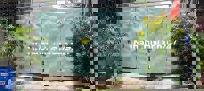 LÔ DÂTD 5X26M 131M2 THỔ CƯ ĐƯỜNG 5M NHỰA ĐẸP GẦN VẠN PHÚC